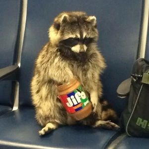 Meet your Posher, Pablo